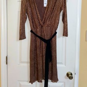 NEW, WITH TAGS NY Collection Bronze Dress